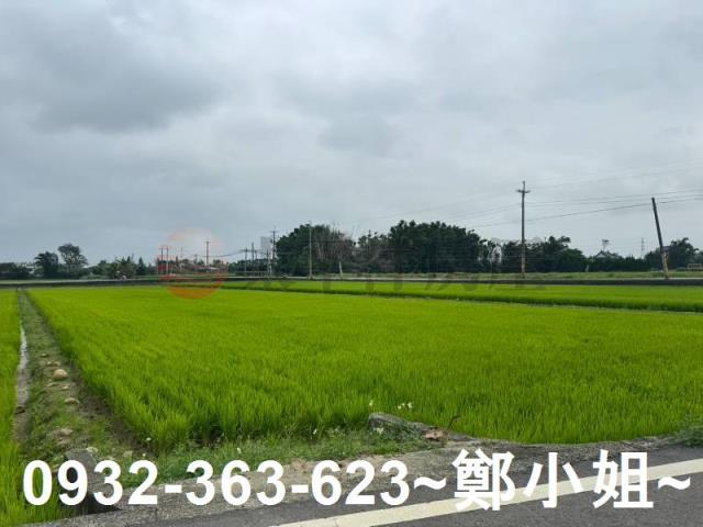 新屋農地-1