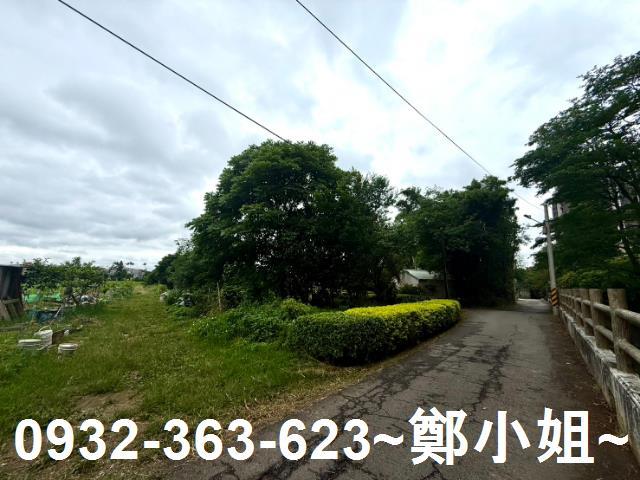 桃園農地-0