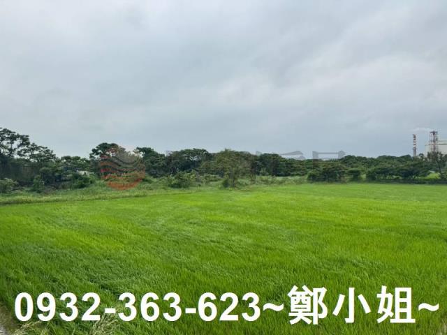 桃園新屋農地-9