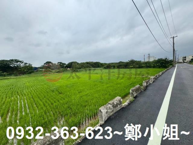 桃園新屋農地-12