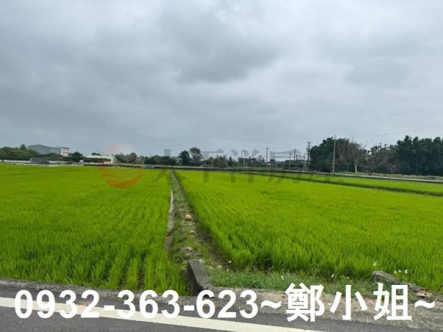 桃園新屋農地-3