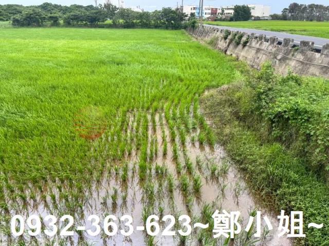 桃園新屋農地-8