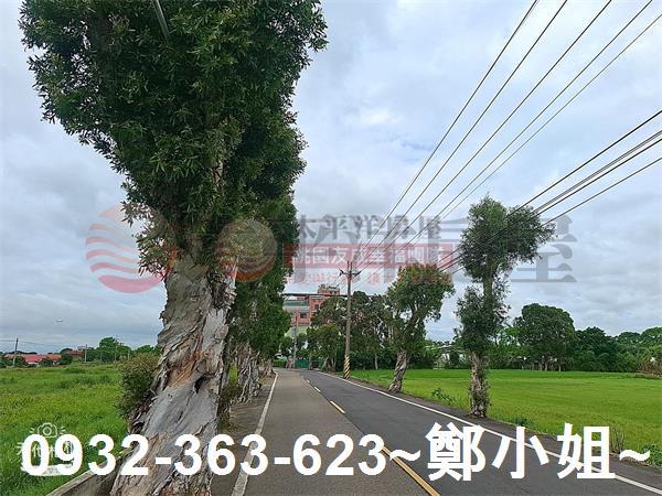 中壢農地-5