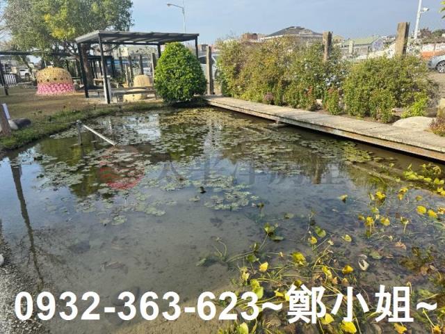 苑裡農地-4