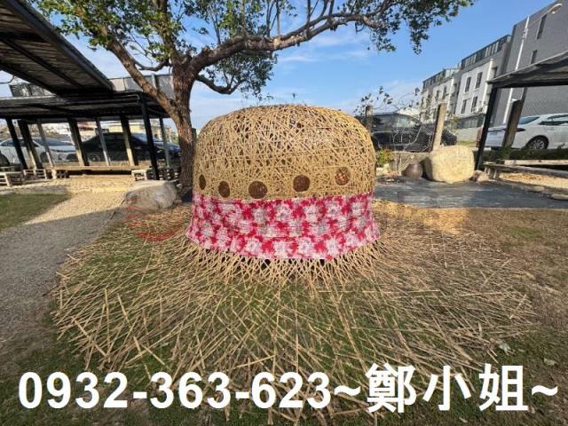 苑裡農地-5