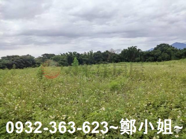 桃園農地-1