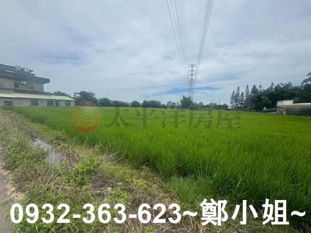 桃園農地-9