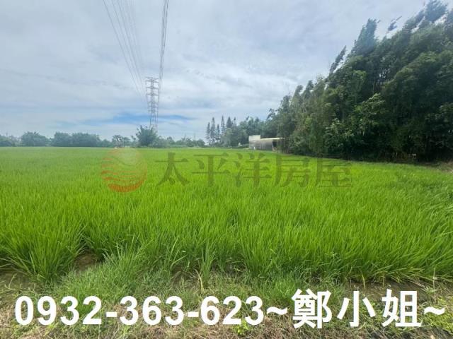 桃園農地-10