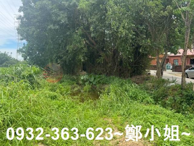 桃園農地-11