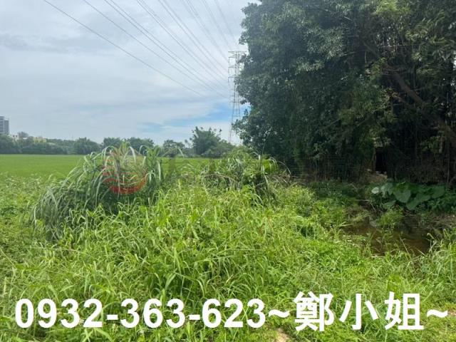 桃園農地-12