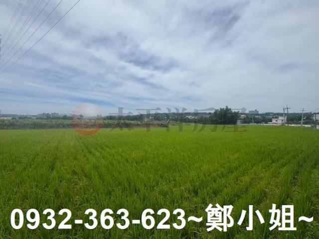 桃園農地-7