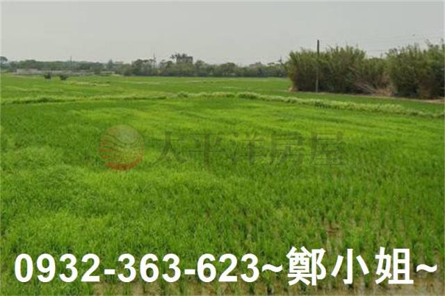 湖口農地-1
