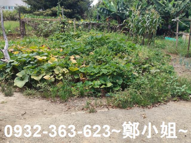 桃園建地-3