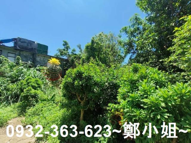 桃園龍潭農地-10