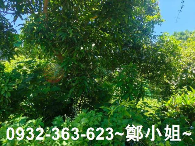 桃園龍潭農地-11
