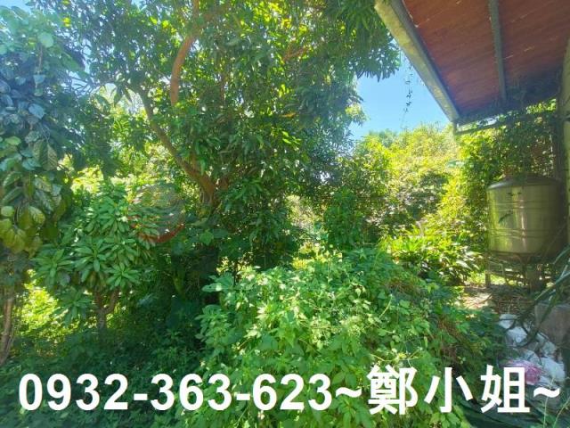 桃園龍潭農地-12