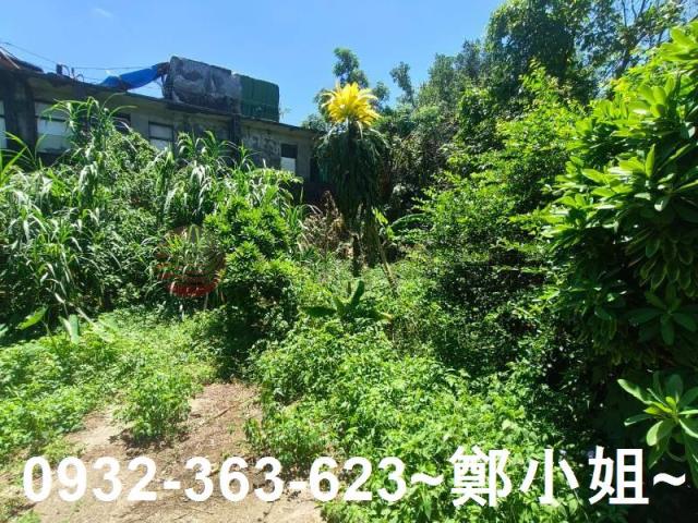 桃園龍潭農地-0