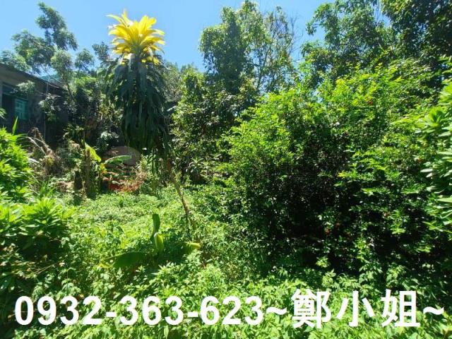桃園龍潭農地-1
