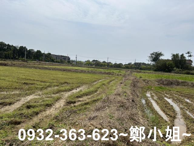 楊梅農地-12