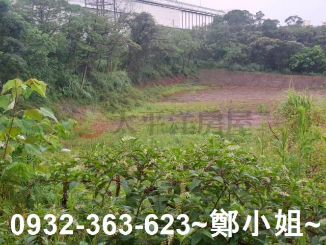 桃園交通用地-10