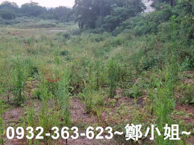 桃園交通用地-3