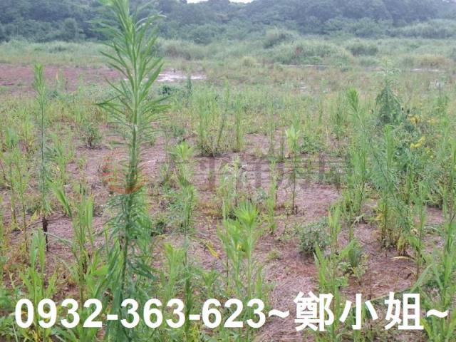 桃園交通用地-4