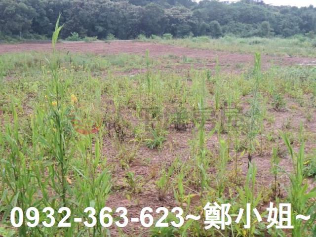 桃園交通用地-5