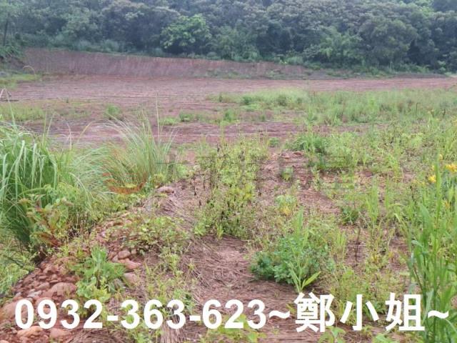 桃園交通用地-6