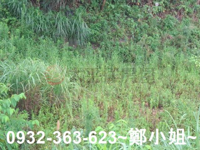 桃園交通用地-8