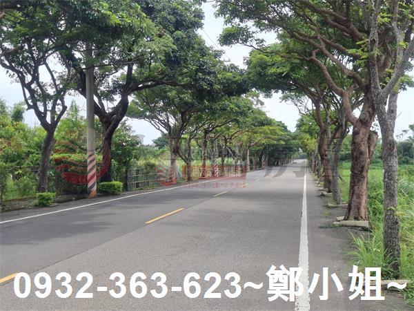 桃園新屋農地-5
