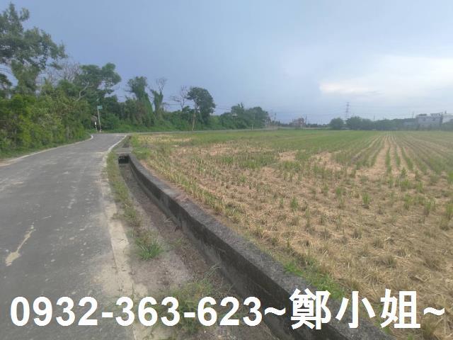 桃園新屋農地-0