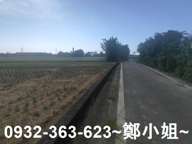 桃園新屋農地-2
