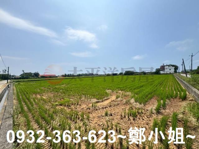 新屋農地-12