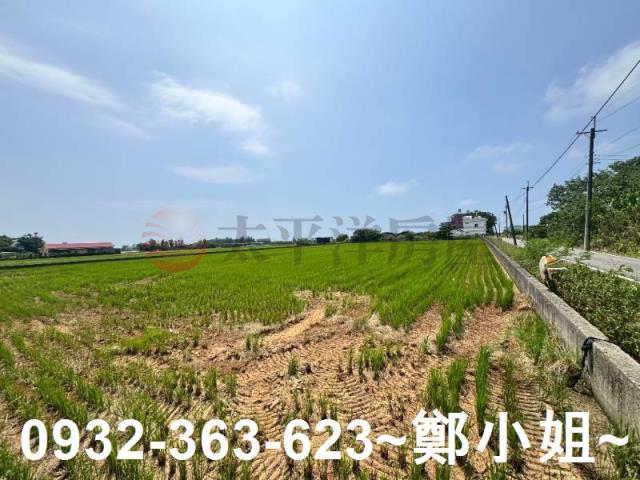 新屋農地-13