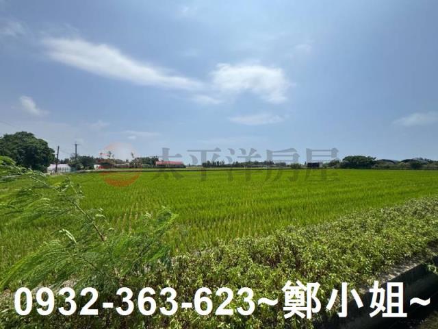 新屋農地-14