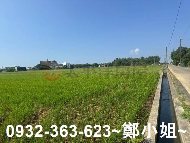 新屋農地-2