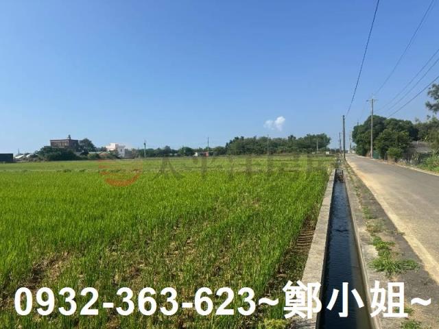 新屋農地-3