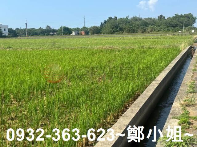 新屋農地-4