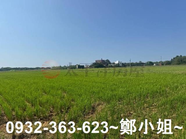 新屋農地-5