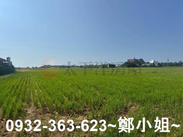 新屋農地-6