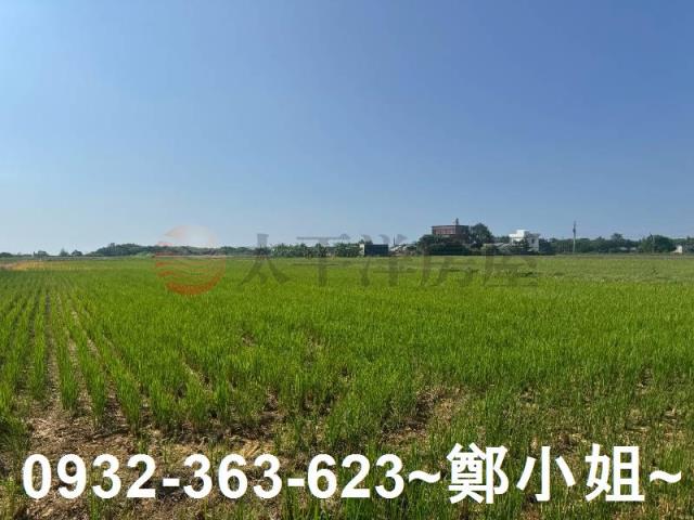 新屋農地-7