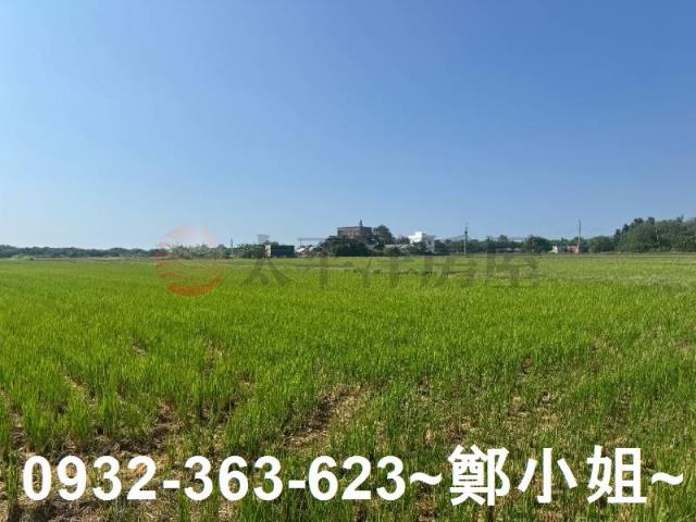 新屋農地-8