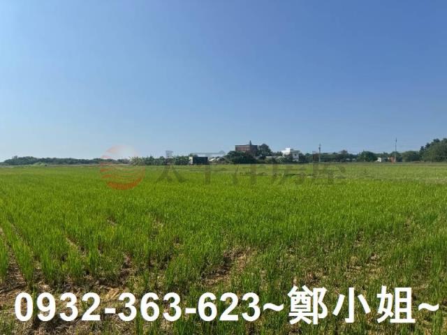 新屋農地-9