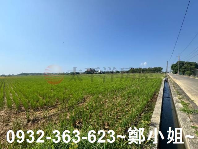 新屋農地-10