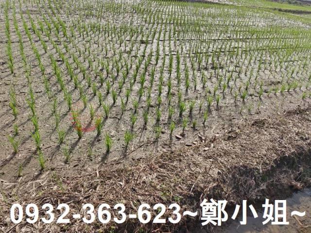 桃園區農地-3