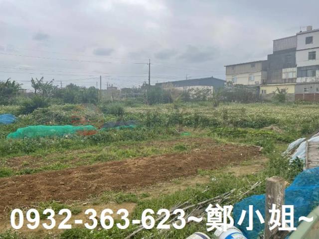 大園農地-0