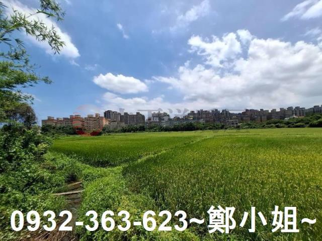 蘆竹農地-2
