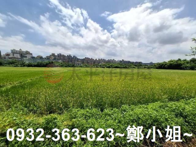 蘆竹農地-3
