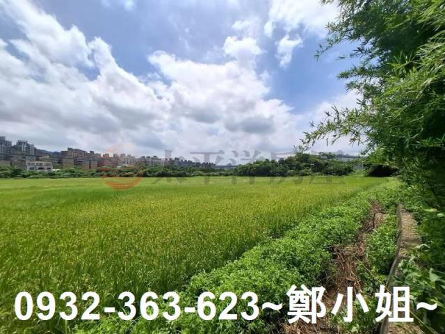 蘆竹農地-4