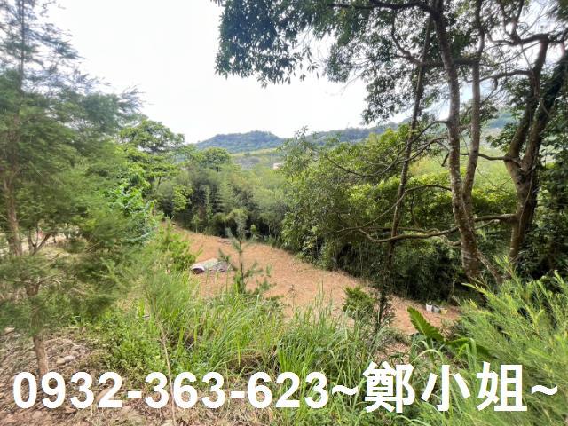 卓蘭農地-11